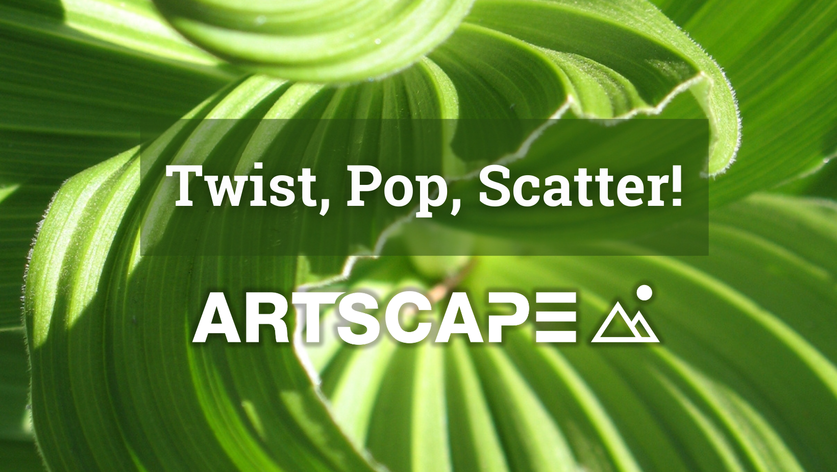 Twist, Pop, Scatter! / 6th Nov.